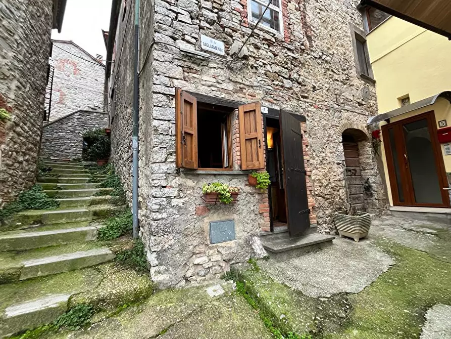Immagine 1 di Appartamento in vendita  a Castell'azzara