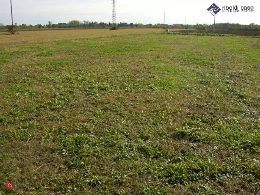 Immagine 1 di Terreno edificabile in vendita  in VIA PO a Dairago