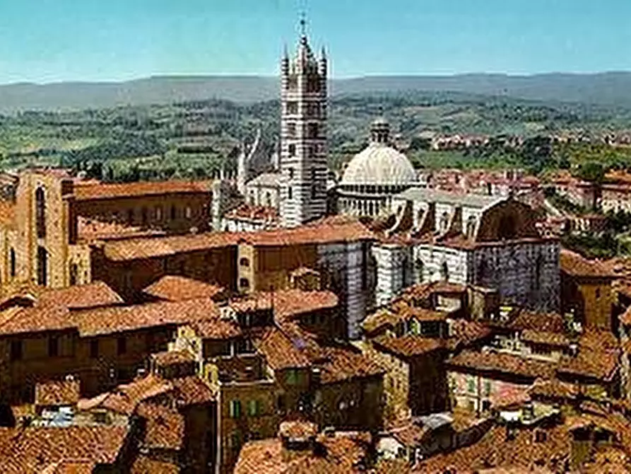 Immagine 1 di Attività commerciale in vendita  a Siena