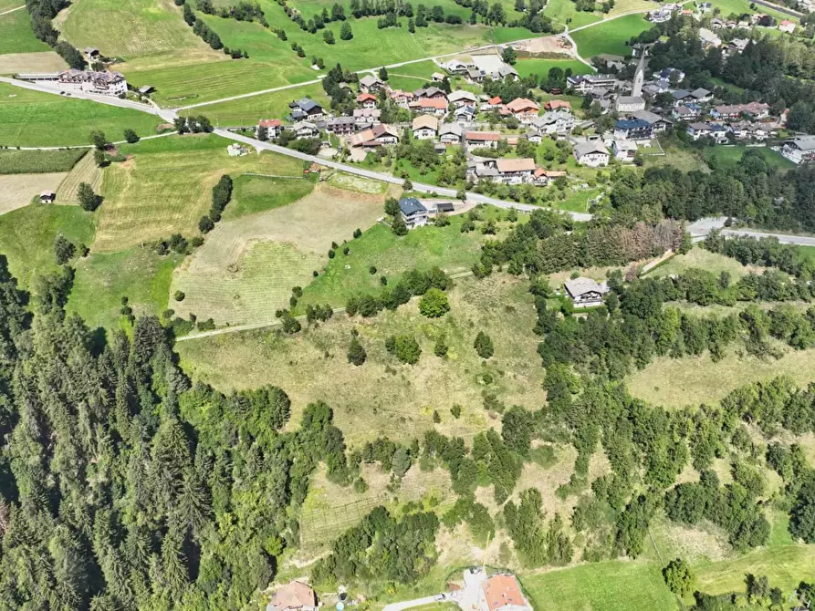 Immagine 1 di Azienda agricola in vendita  a Val Di Vizze .Pfitsch.