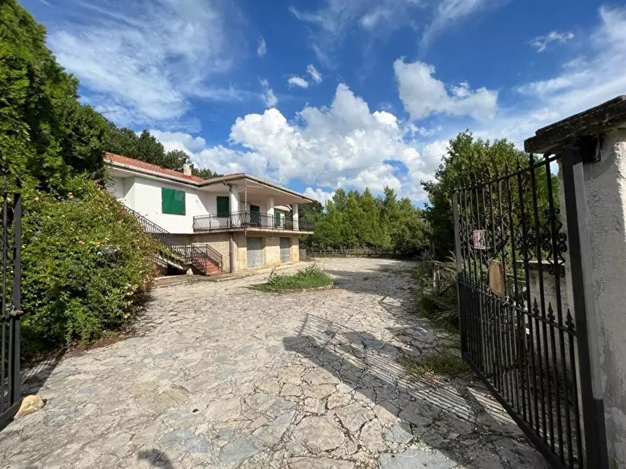 Immagine 1 di Villa in vendita  in Parapoti 4 a Castiglione Del Genovesi