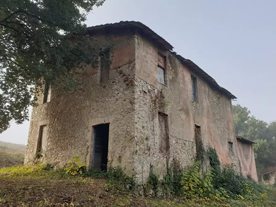 Immagine 1 di Rustico / casale in vendita  in Via Umberto I a Alviano