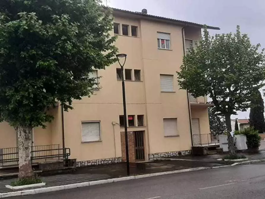 Immagine 1 di Appartamento in vendita  in giuseppe verdi a Montecastrilli