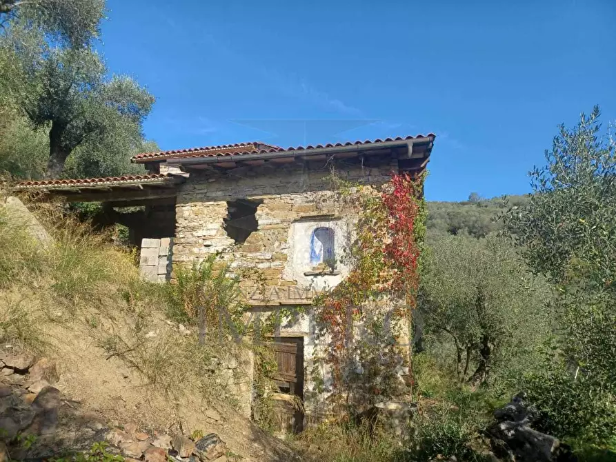 Immagine 1 di Terreno edificabile in vendita  a Apricale