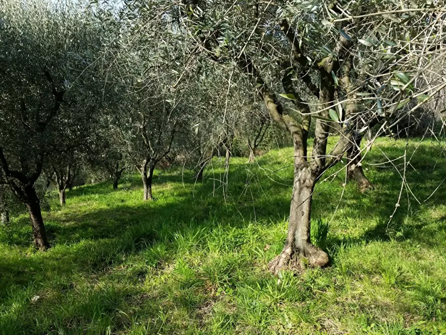 Immagine 1 di Terreno edificabile in vendita  in Via della Maulina a Lucca