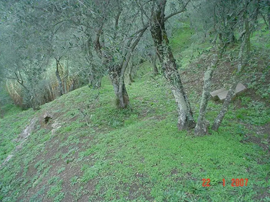 Immagine 1 di Terreno edificabile in vendita  a Ortonovo