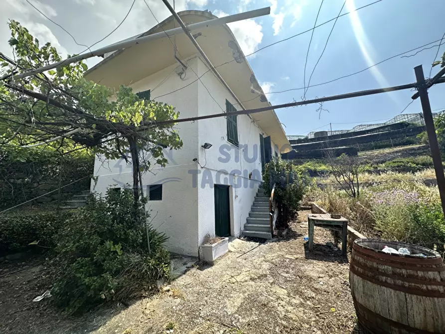 Immagine 1 di Terreno edificabile in vendita  in Via Bussolino a Badalucco