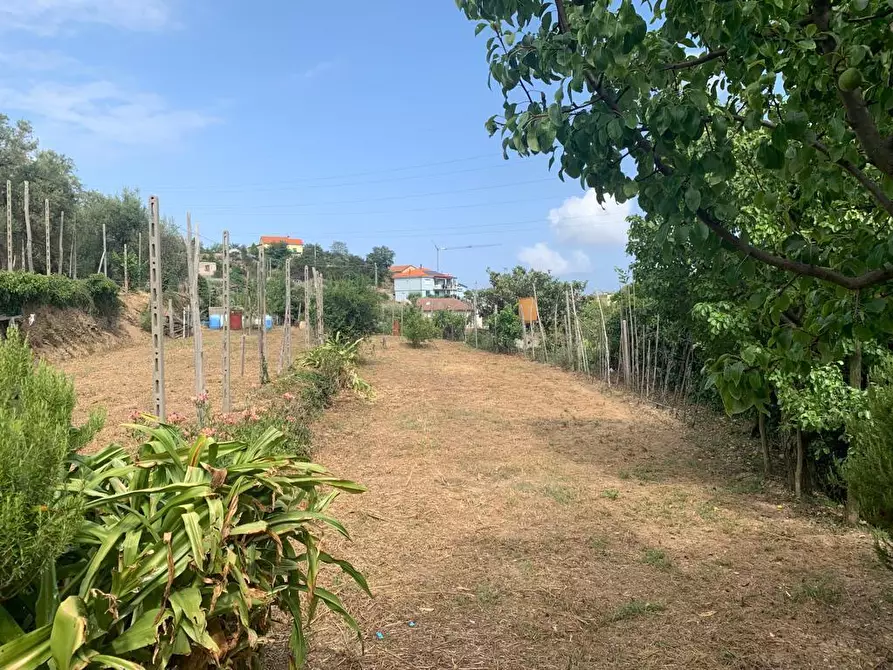 Immagine 1 di Terreno edificabile in vendita  in Via Nino Bixio a Quiliano