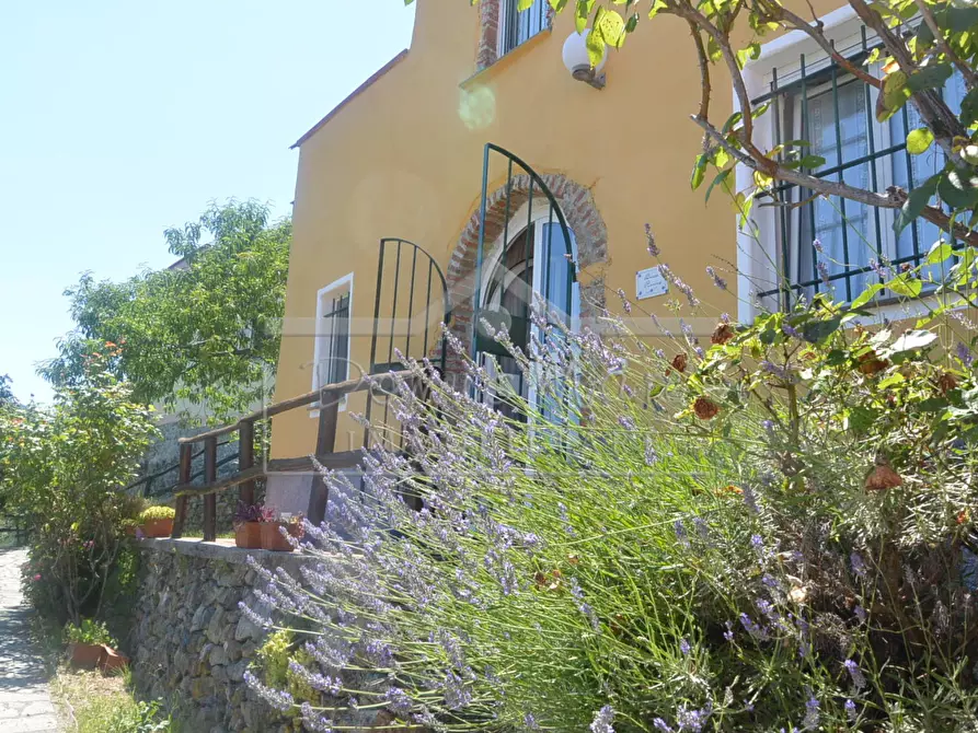 Immagine 1 di Villa in vendita  in Via Lanrosso Superiore a Mioglia