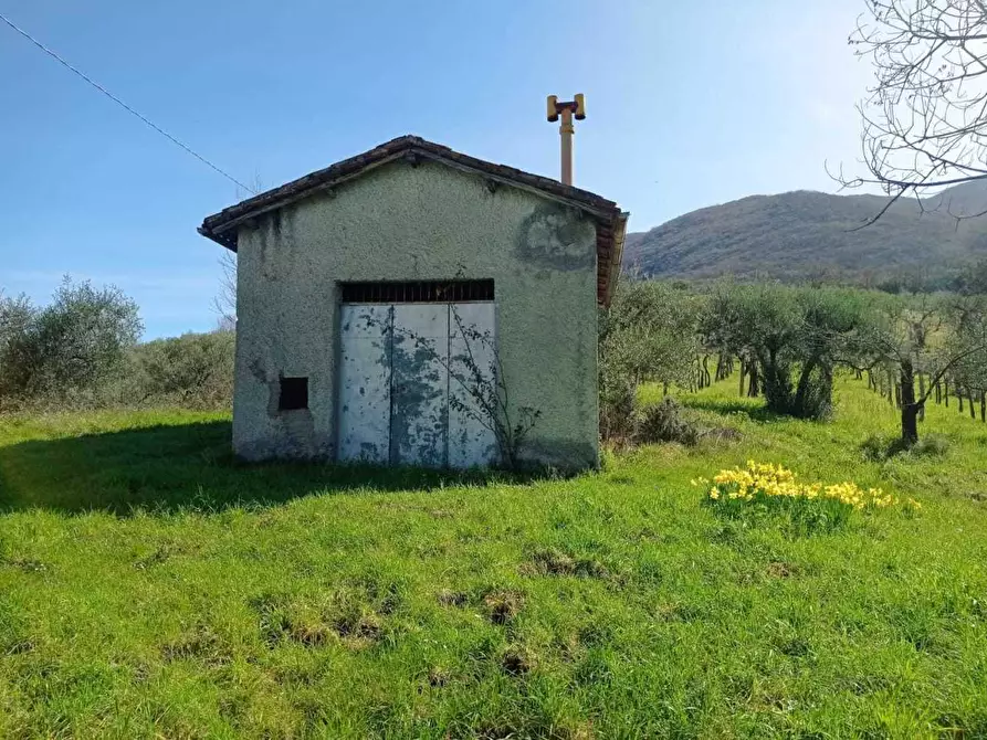 Immagine 1 di Rustico / casale in vendita  in E80 a Castel Madama