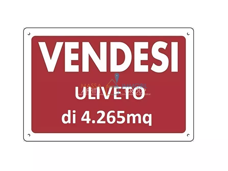 Immagine 1 di Terreno edificabile in vendita  in Via Andreotti a Pietrasanta