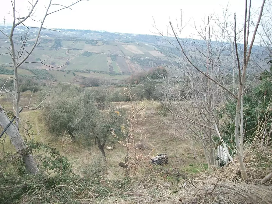 Immagine 1 di Terreno edificabile in vendita  in VIA COLLE CERASO a Castel Frentano