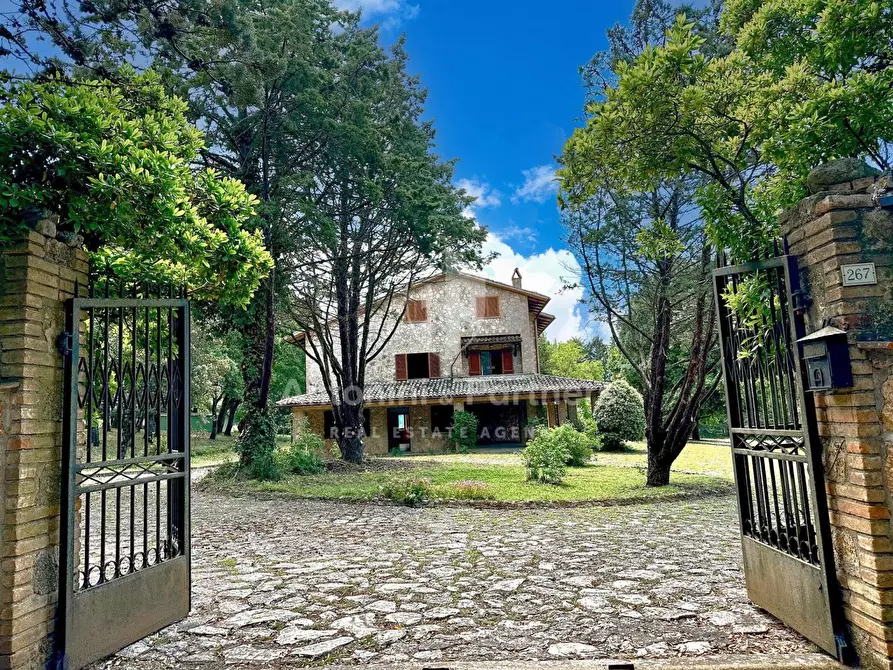 Immagine 1 di Villa in vendita  a Massa Martana