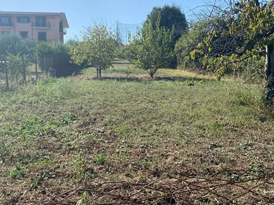 Immagine 1 di Terreno edificabile in vendita  in Via Maccia dello Sterparo a Frascati