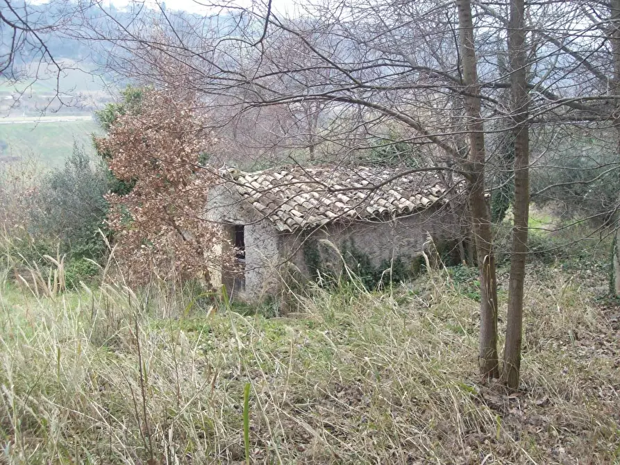 Immagine 1 di Rustico / casale in vendita  in CONTRADA VIDIZZE a Arielli