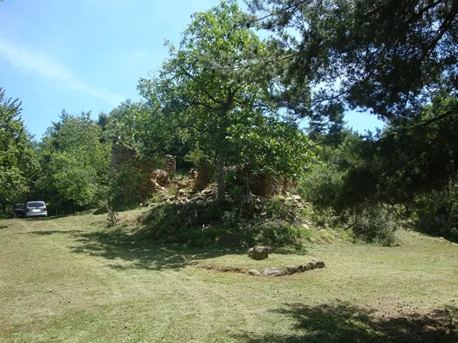 Immagine 1 di Terreno edificabile in vendita  in loc. Palo - Patare a Sassello