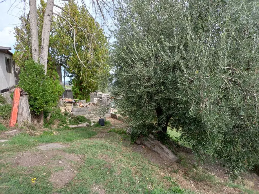 Immagine 1 di Terreno edificabile in vendita  in Via Guerrazzi a Monterotondo