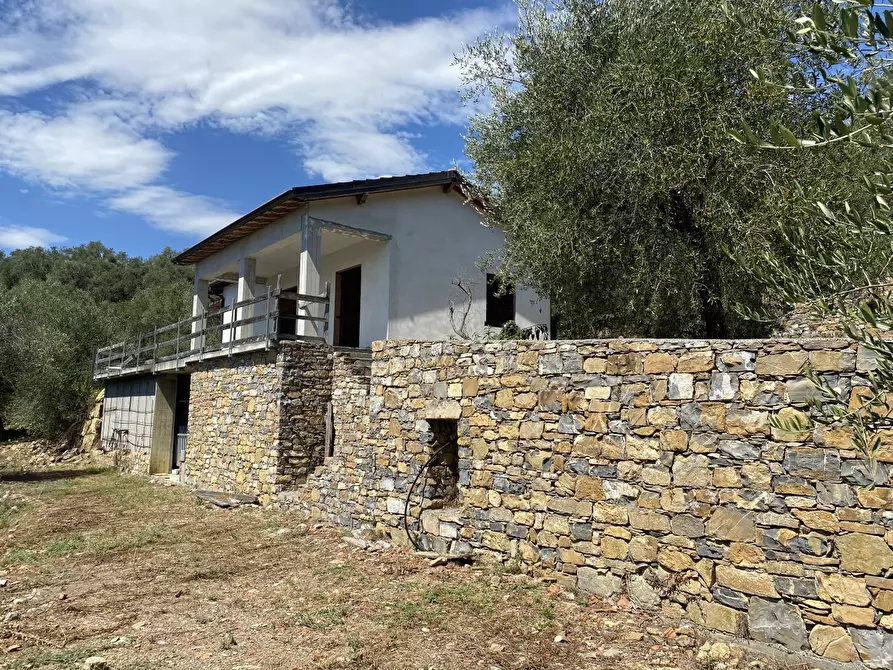 Immagine 1 di Villa in vendita  in località Ruggio a Badalucco