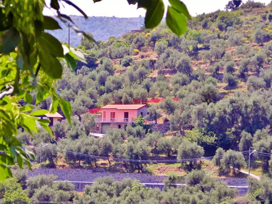 Immagine 1 di Villa in vendita  in via Cascione a Badalucco