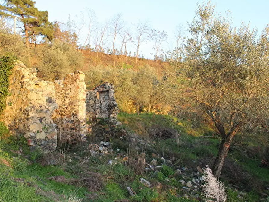Immagine 1 di Terreno edificabile in vendita  a Santo Stefano Di Magra