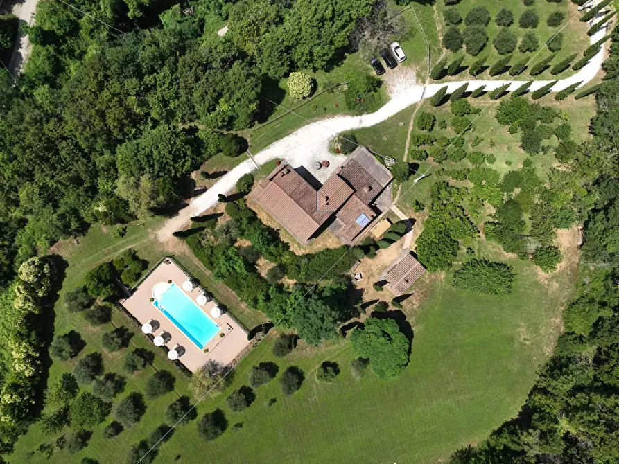 Immagine 1 di Villa in vendita  in Via De Riccardi a Lajatico