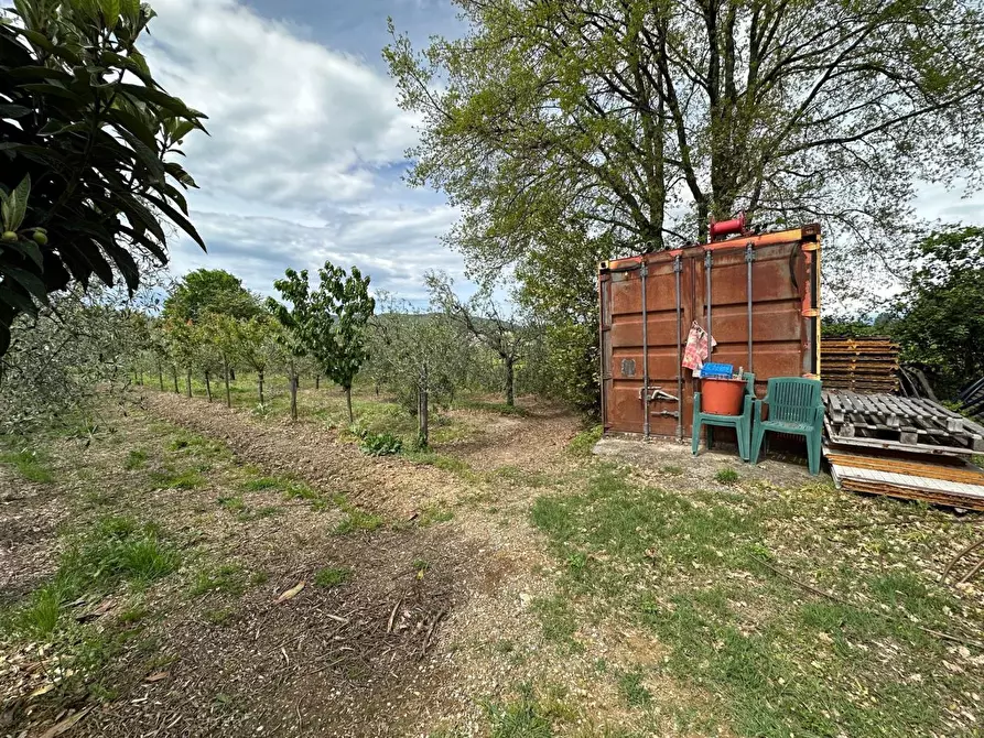 Immagine 1 di Terreno edificabile in vendita  in Via Tavolara a Castelnuovo Magra