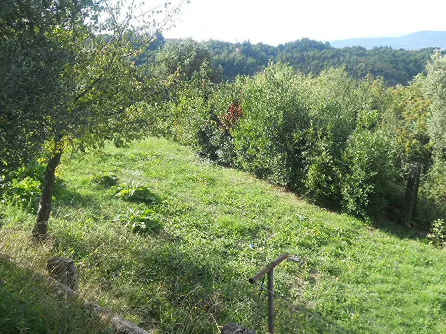 Immagine 1 di Terreno edificabile in vendita  in Via Alta a Sarzana