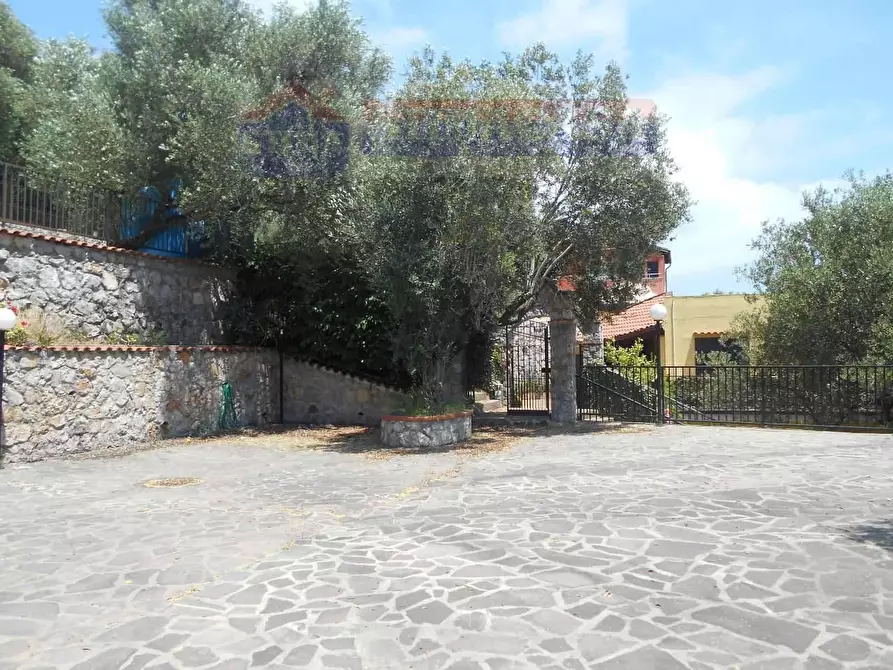 Immagine 1 di Villa in vendita  a Alfano