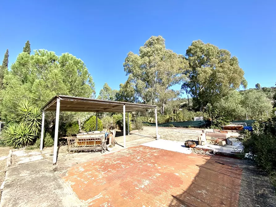 Immagine 1 di Azienda agricola in vendita  in Via PISCINA NUSCEDDA a Guasila