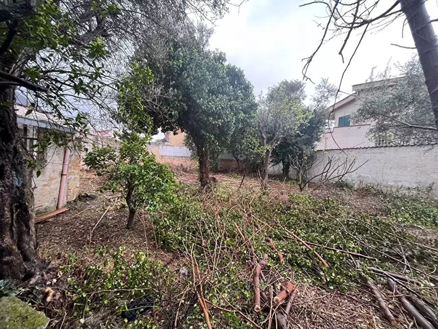 Immagine 1 di Terreno edificabile in vendita  in Via dell'Ulivo a Palermo