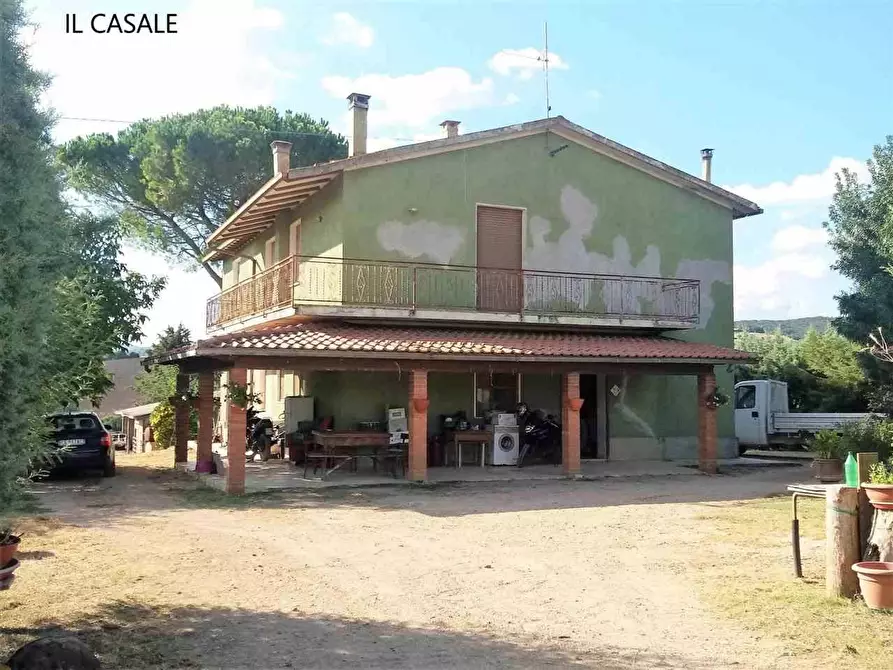 Immagine 1 di Azienda agricola in vendita  in Scansano Zona Pomonte 10 km da Saturnia a Scansano