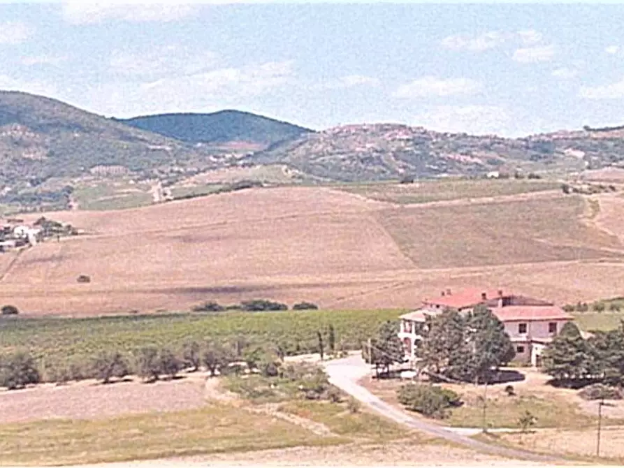 Immagine 1 di Azienda agricola in vendita  in MONTENERO VAL D'ORCIA COMUNE CASTEL DEL PIANO a Castel Del Piano