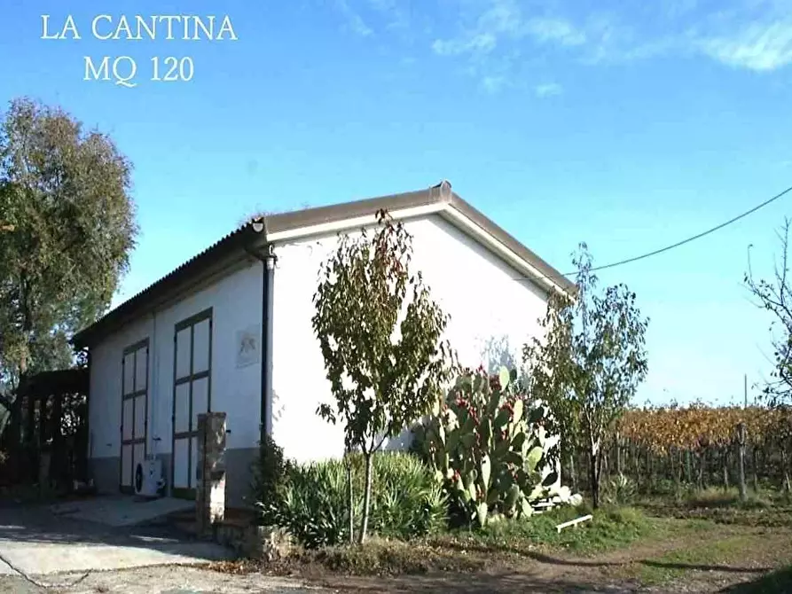 Immagine 1 di Azienda agricola in vendita  in ZONA MONTEMASSI ZONA RIBOLLA a Roccastrada