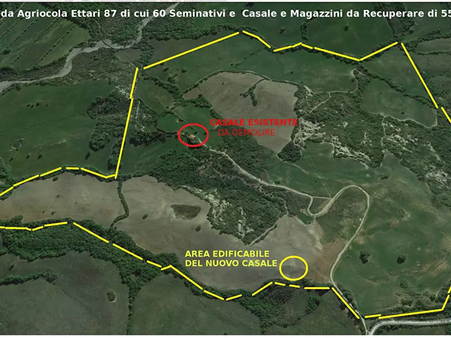 Immagine 1 di Azienda agricola in vendita  in Zona Cana Zona L' Abbandonato 30 km da Grosseto a Roccalbegna
