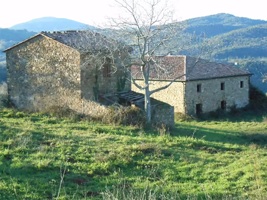 Immagine 1 di Rustico / casale in vendita  a Castelnuovo Val Di Cecina