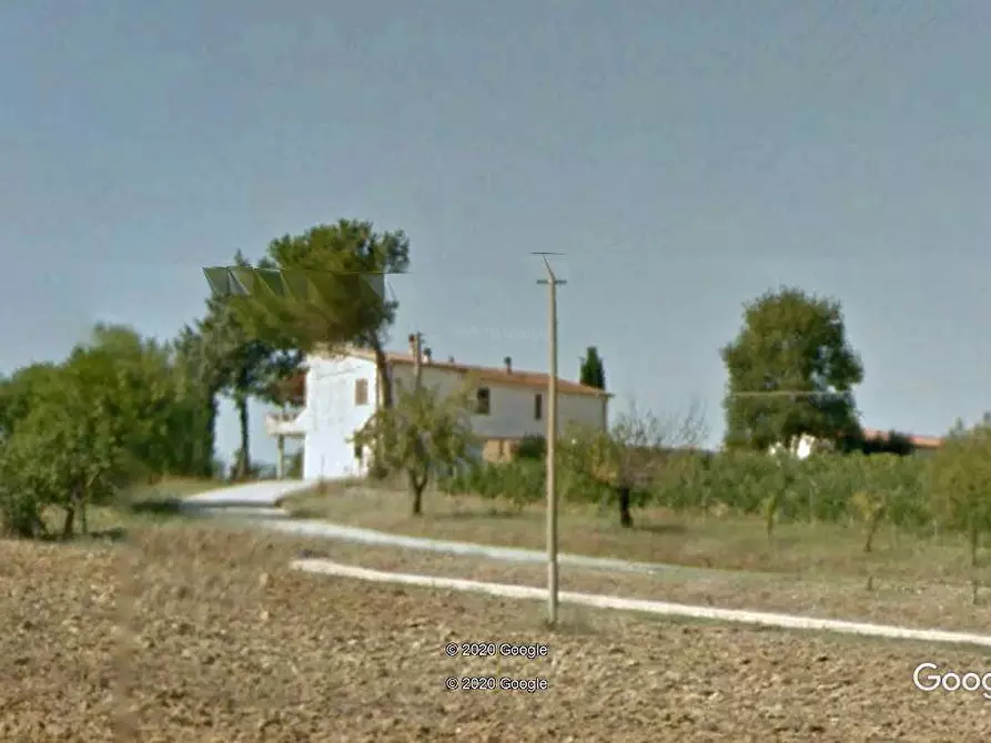 Immagine 1 di Azienda agricola in vendita  a Magliano In Toscana