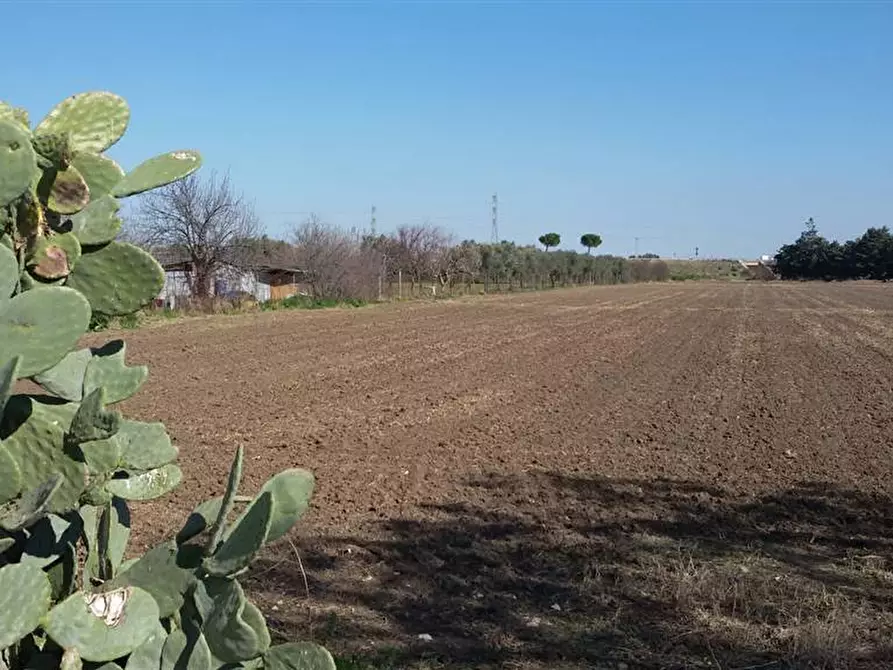 Immagine 1 di Terreno edificabile in vendita  in tratturo castiglione a Foggia