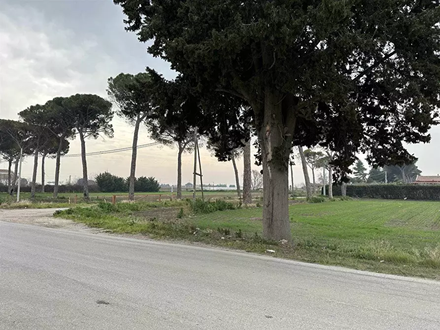 Immagine 1 di Terreno edificabile in vendita  in VIA DEL MARE a Foggia