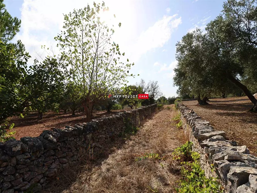 Immagine 1 di Terreno edificabile in vendita  a Cisternino