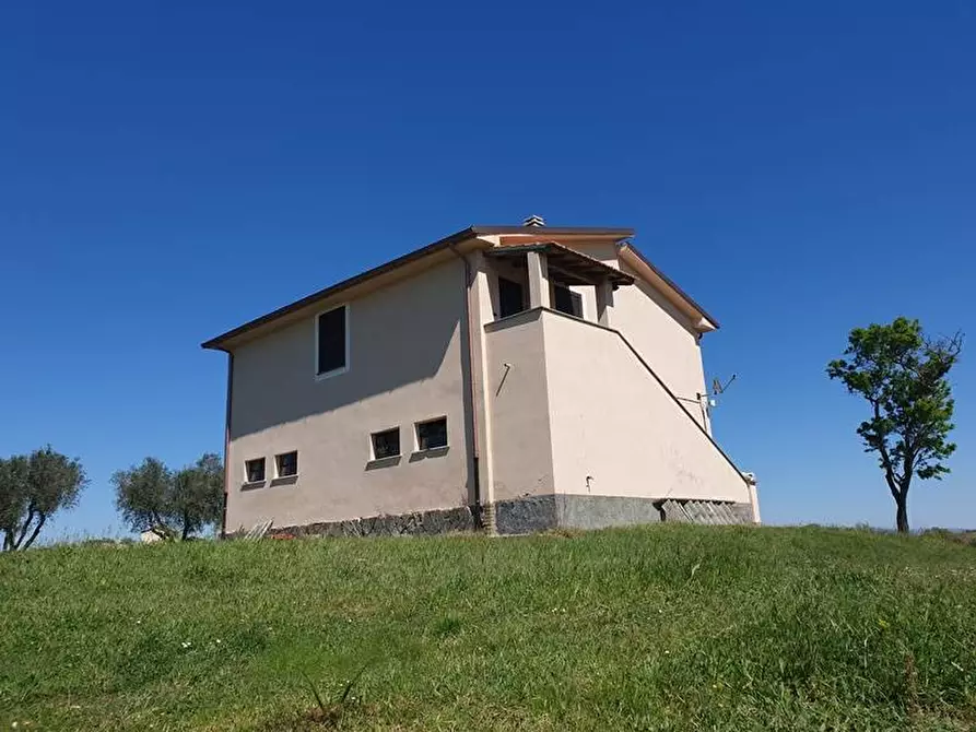 Immagine 1 di Rustico / casale in vendita  a Tuscania