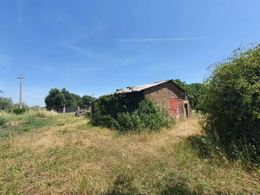Immagine 1 di Terreno edificabile in vendita  a Bassano In Teverina