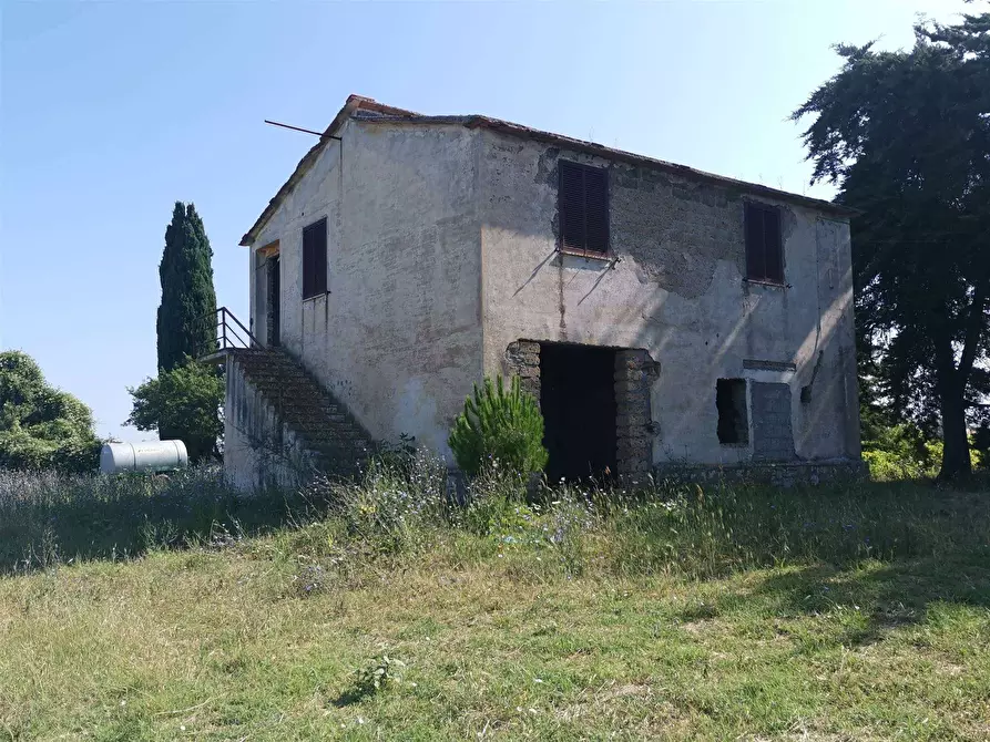 Immagine 1 di Azienda agricola in vendita  a Tuscania