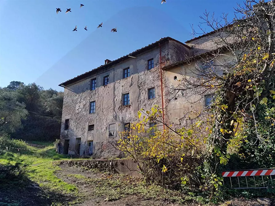 Immagine 1 di Azienda agricola in vendita  a Montelupo Fiorentino