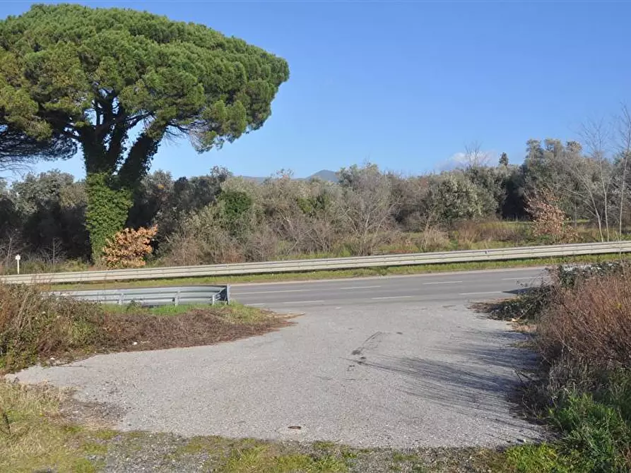 Immagine 1 di Terreno edificabile in vendita  in S.R. 206 a Rosignano Marittimo