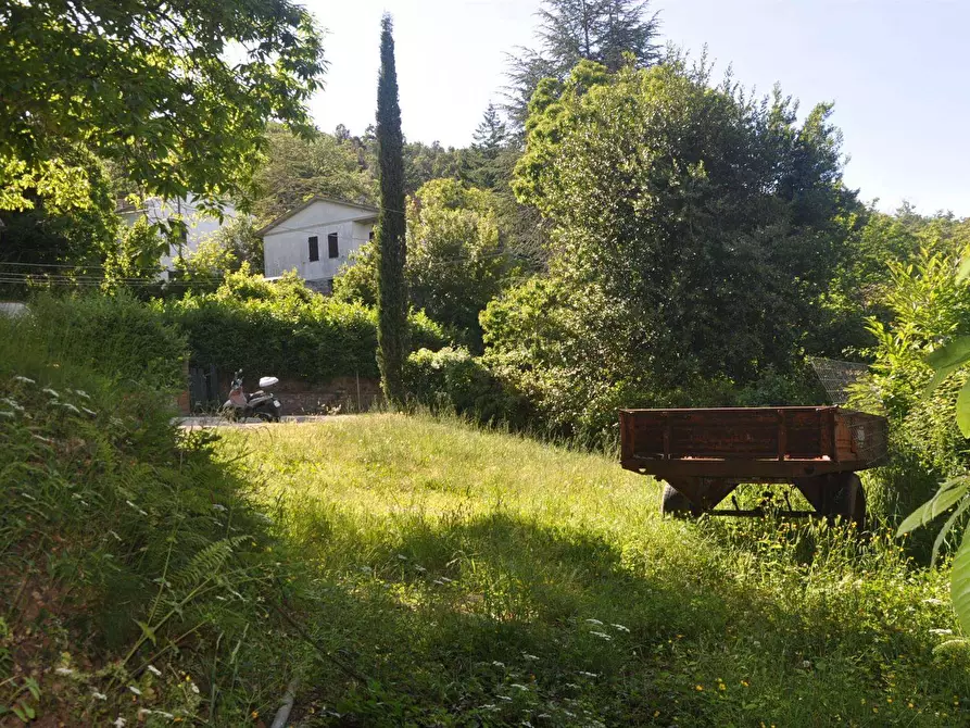Immagine 1 di Terreno edificabile in vendita  in Val Canina a Sassetta