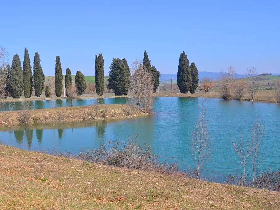 Immagine 1 di Villa in vendita  in Sarzanese Valdera a Lajatico