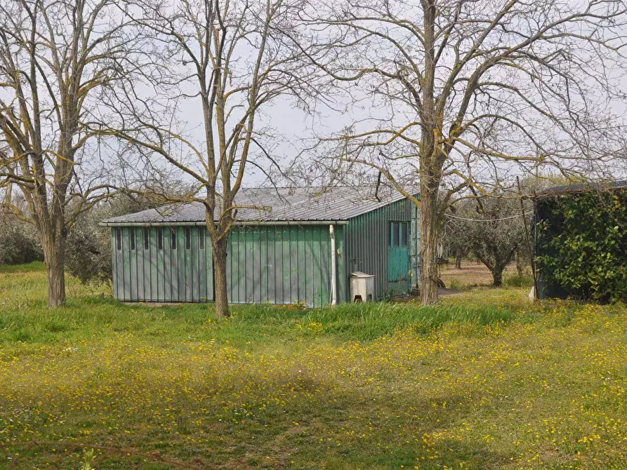Immagine 1 di Terreno edificabile in vendita  in Stradone del Belvedere a Rosignano Marittimo