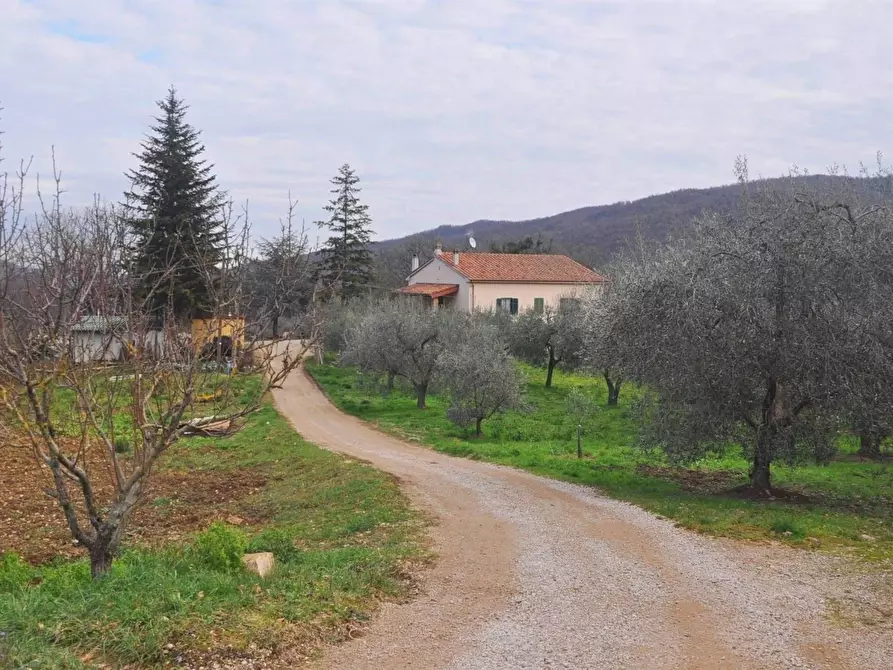 Immagine 1 di Rustico / casale in vendita  in Strada Vicinale di Sant'Antonio a Castelnuovo Val Di Cecina