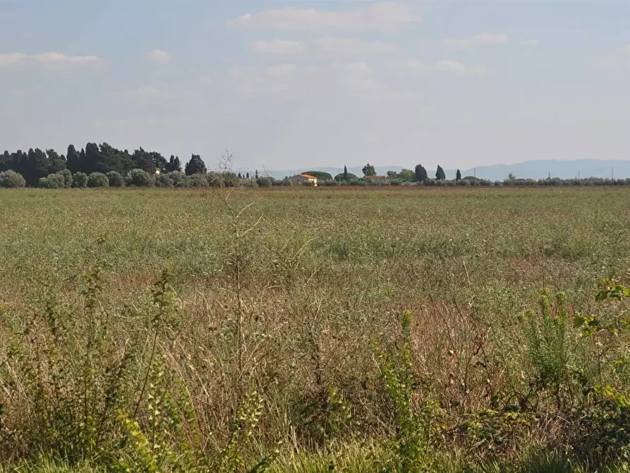 Immagine 1 di Terreno edificabile in vendita  in Stradone dei Fichi a Rosignano Marittimo