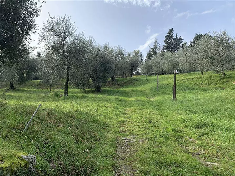 Immagine 1 di Terreno edificabile in vendita  a Calenzano